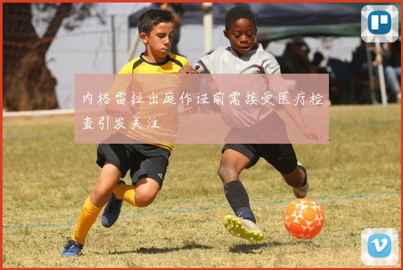 内格雷拉出庭作证前需接受医疗检查引发关注