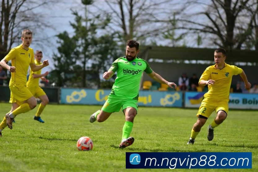 南宫娱乐平台生态图